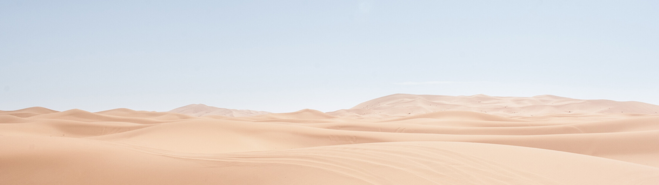 Landscape 01